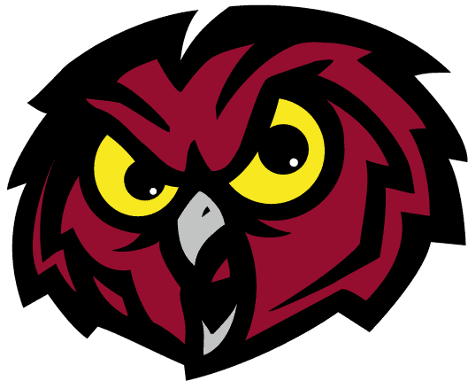 Temple Owls 1996-Pres Alternate Logo iron on transfers for T-shirts